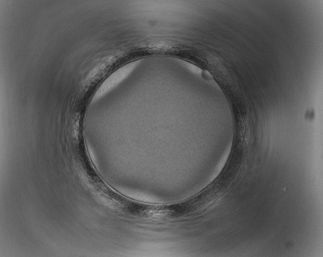 X0000115560495200911271500