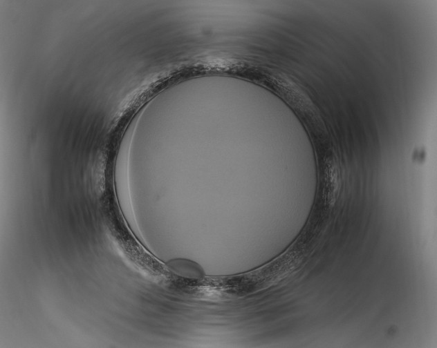 X0000115560496200911271500