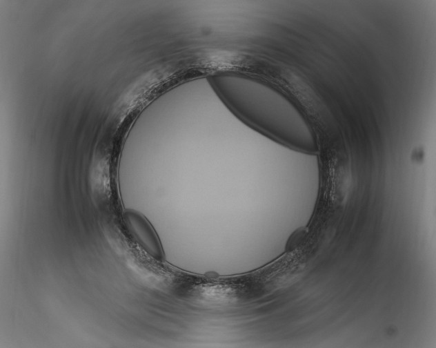 X0000115560500200911271500