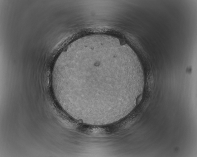 X0000115560501200911271500