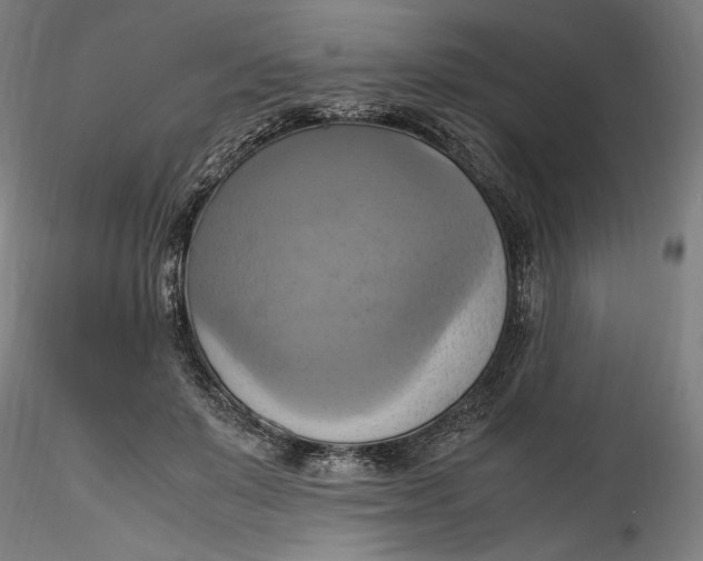 X0000115560503200911271500