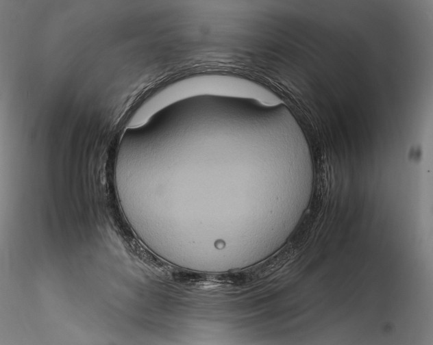 X0000115560504200911271500