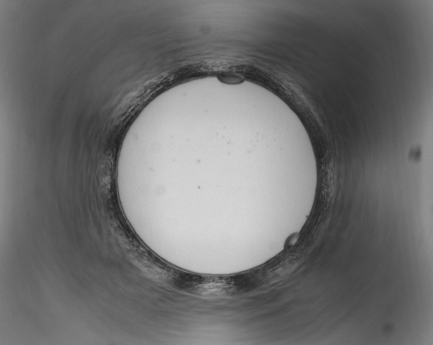 X0000115560505200911271500