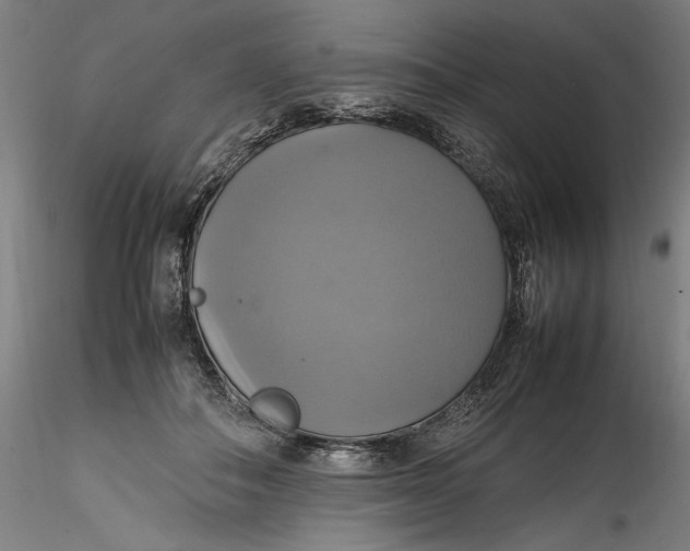 X0000115560506200911271500