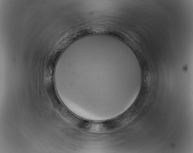 X0000115560507200911271500