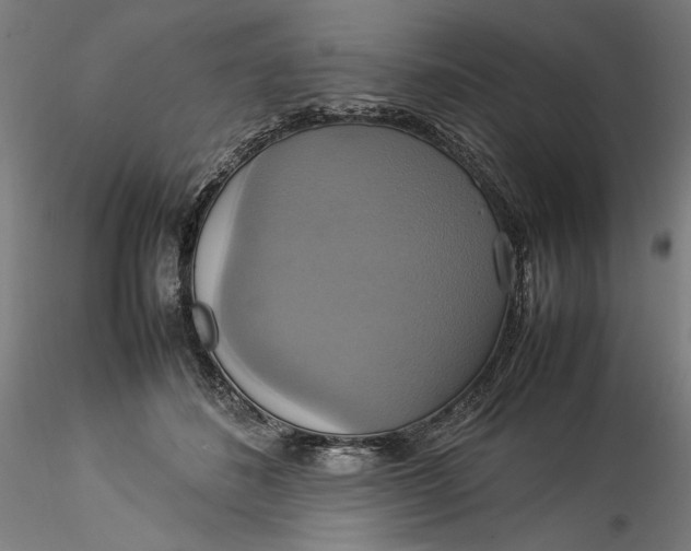 X0000115560508200911271500