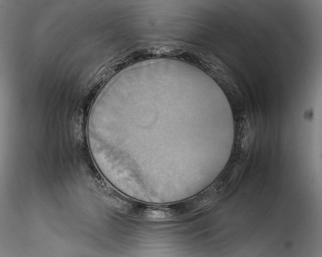 X0000115560510200911271500