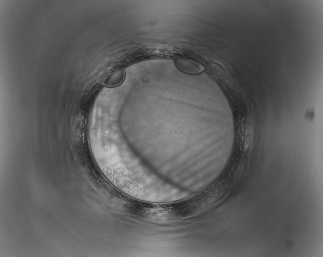 X0000115560511200911271500