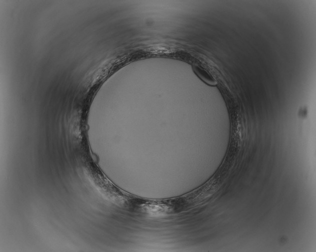 X0000115560512200911271500