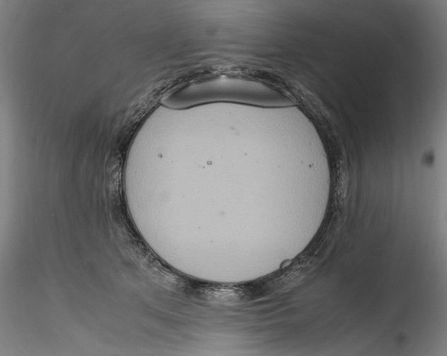 X0000115560513200911271500