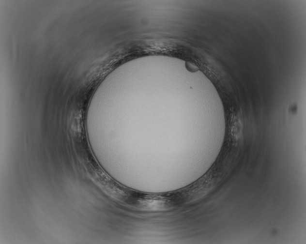 X0000115560514200911271500