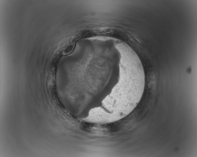 X0000115560515200911271500