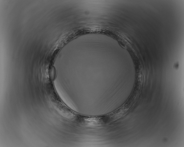 X0000115560516200911271500