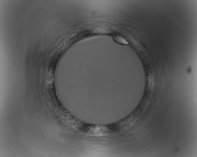 X0000115560517200911271500