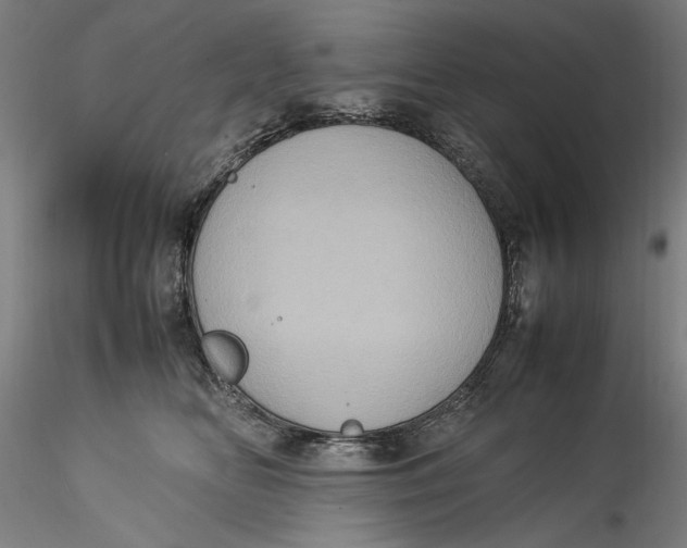 X0000115560518200911271500