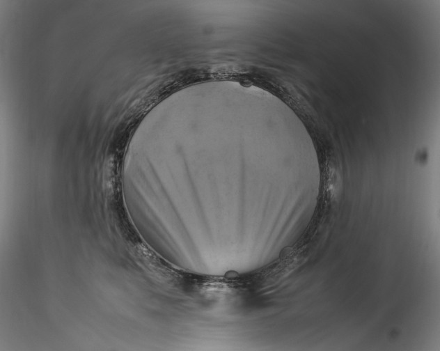 X0000115560519200911271500