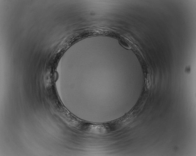 X0000115560520200911271500