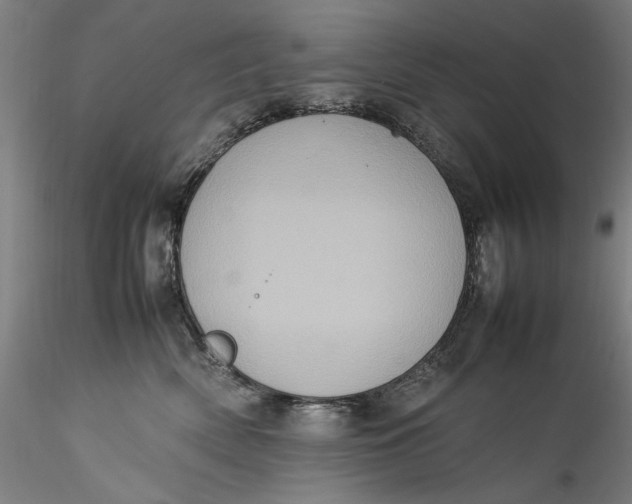 X0000115560522200911271500