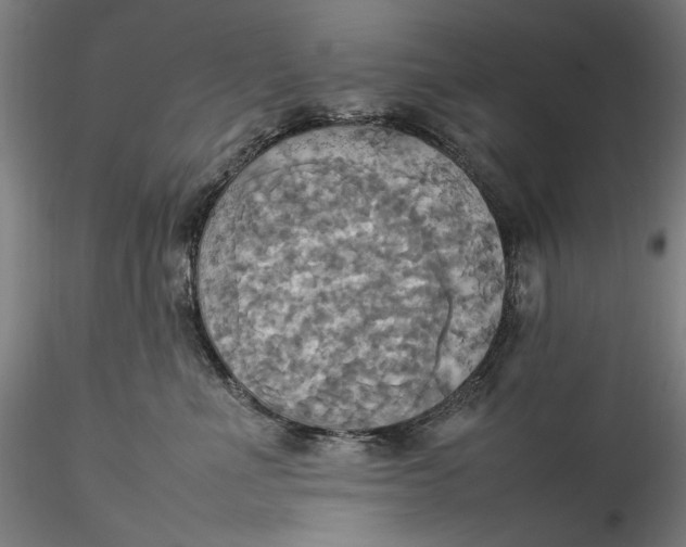 X0000115560523200911271500