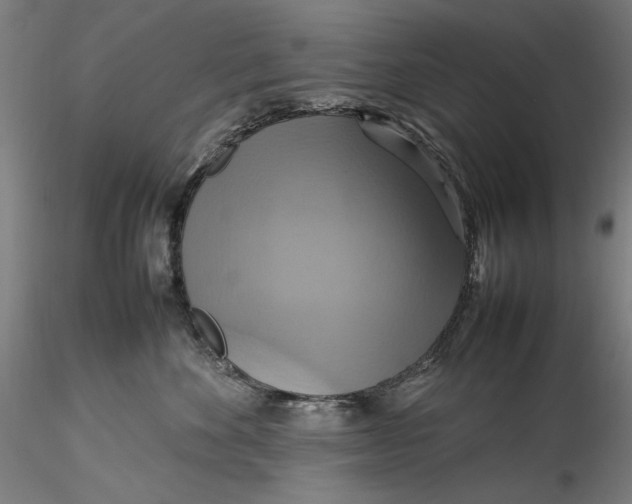 X0000115560524200911271500