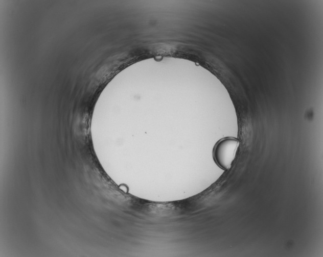 X0000115560525200911271500