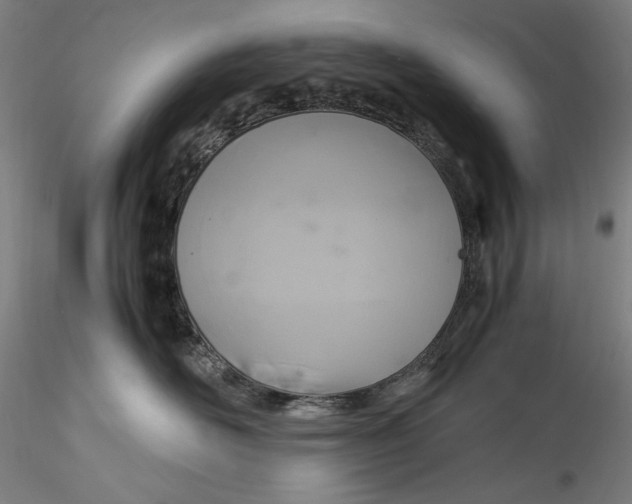 X0000115560526200911271500