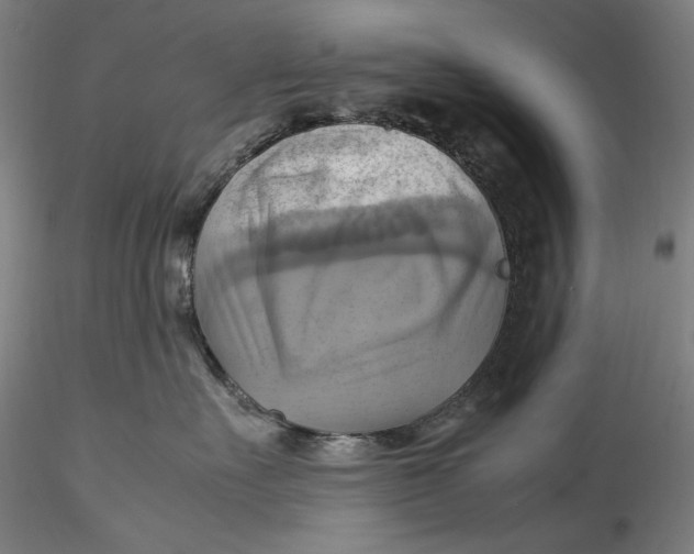 X0000115560527200911271500