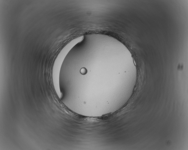 X0000115560528200911271500