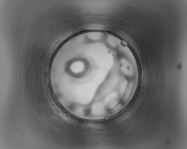 X0000115560529200911271459