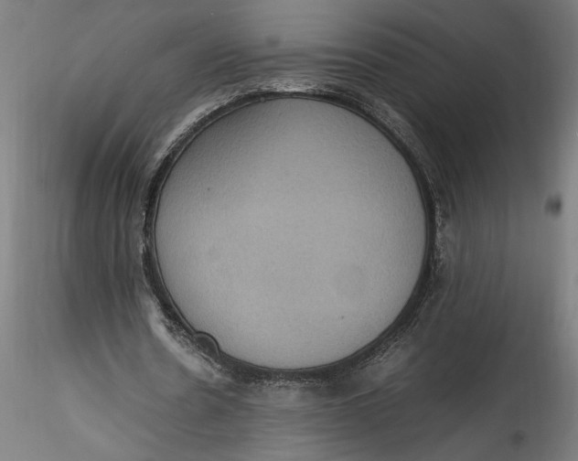 X0000115560530200911271459