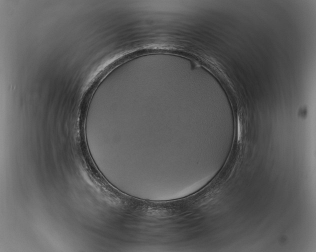 X0000115560531200911271459