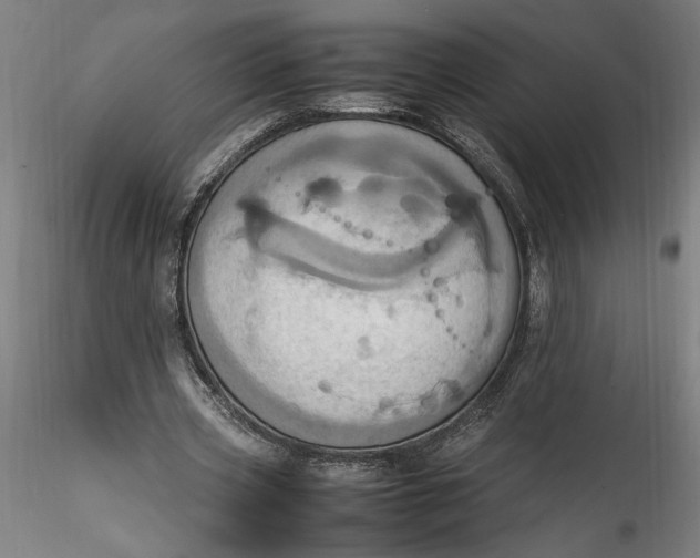 X0000115560533200911271459