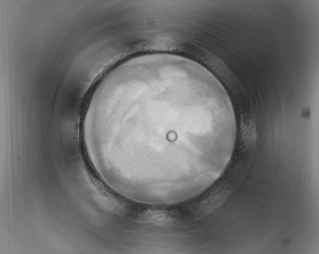 X0000115560534200911271459