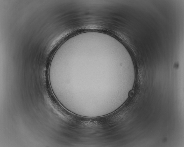 X0000115560535200911271459