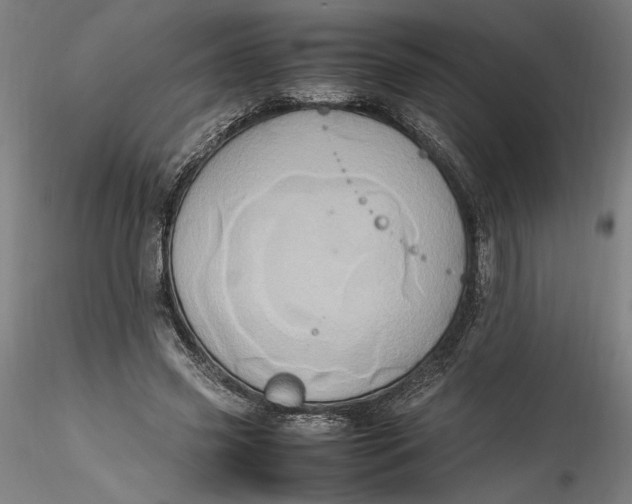 X0000115560541200911271459