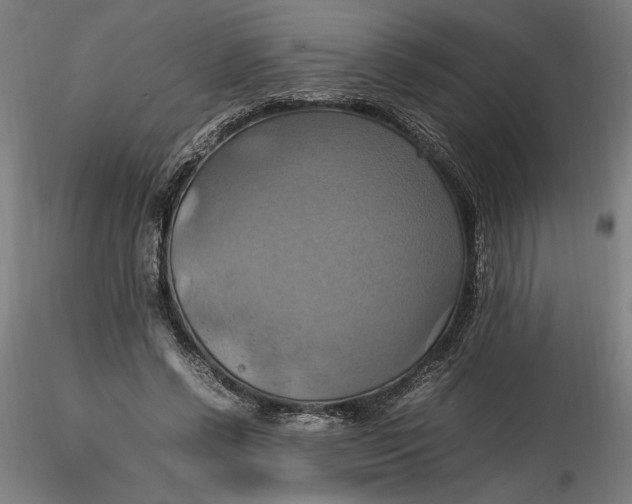 X0000115560542200911271459