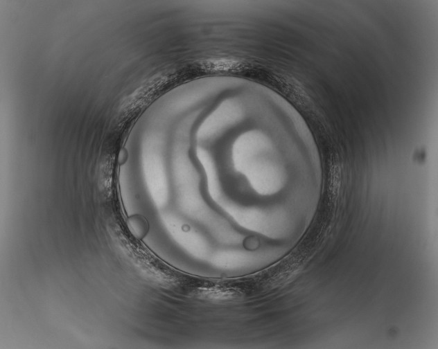 X0000115560545200911271459