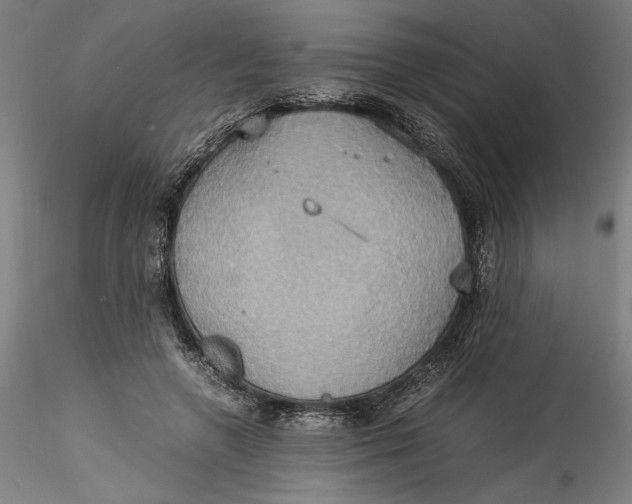 X0000115560546200911271459