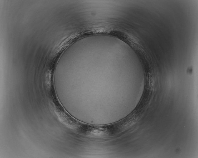 X0000115560550200911271459