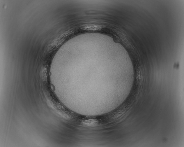 X0000115560551200911271459