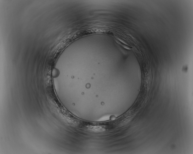 X0000115560553200911271459