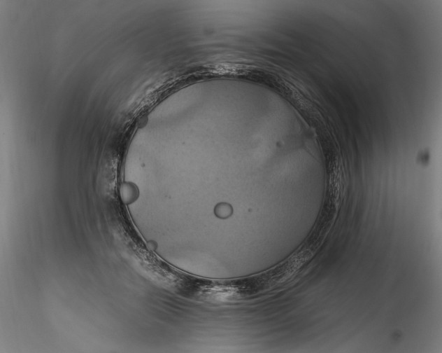 X0000115560554200911271459