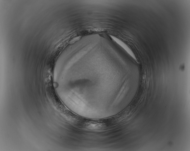 X0000115560555200911271459