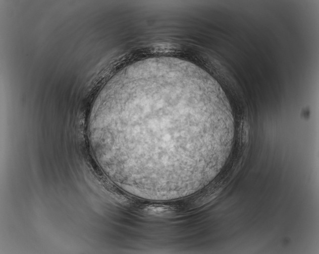 X0000115560557200911271459