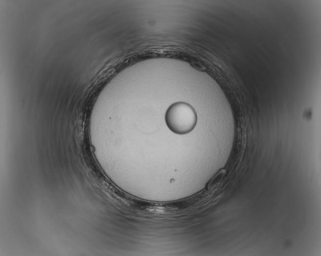 X0000115560558200911271459