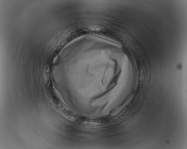 X0000115560559200911271459