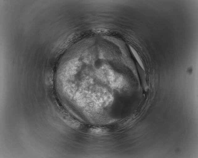 X0000115560561200911271459