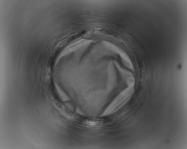 X0000115560563200911271459