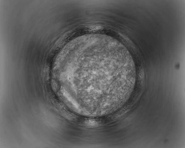 X0000115560565200911271459