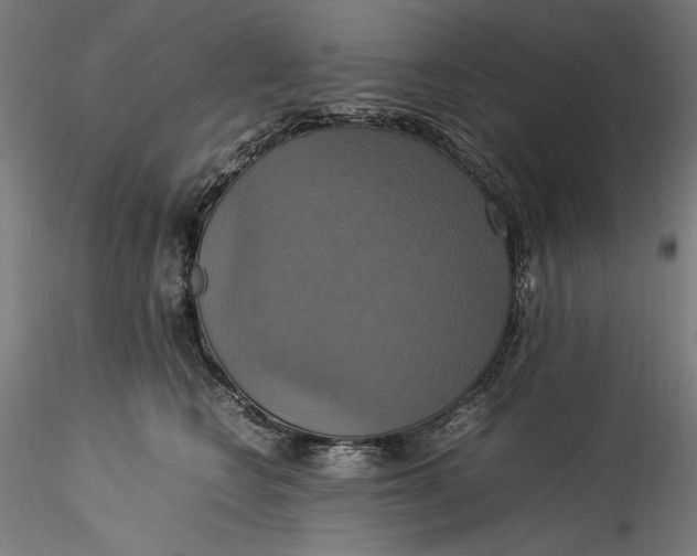 X0000115560566200911271459